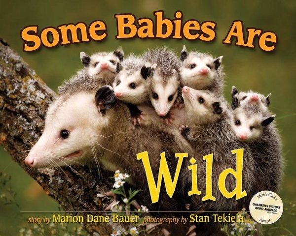 Some Babies Are Wild (Wildlife Picture Books) cover
