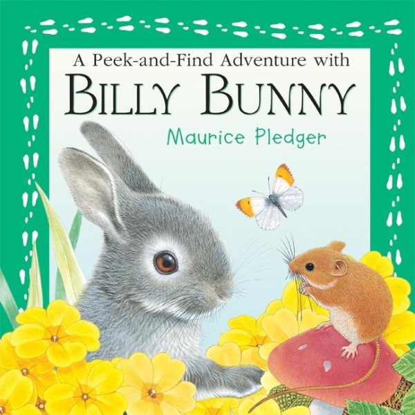 A Peek-and-Find Adventure with Billy Bunny cover