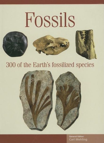 Fossils (Expert Guides) cover