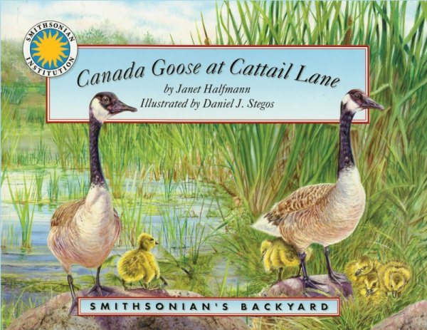 Canada Goose at Cattail Lane (Smithsonian Backyard)