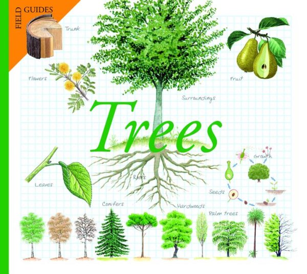 Trees (Field Guides) cover