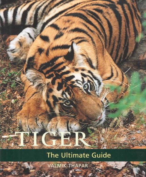 Tiger cover
