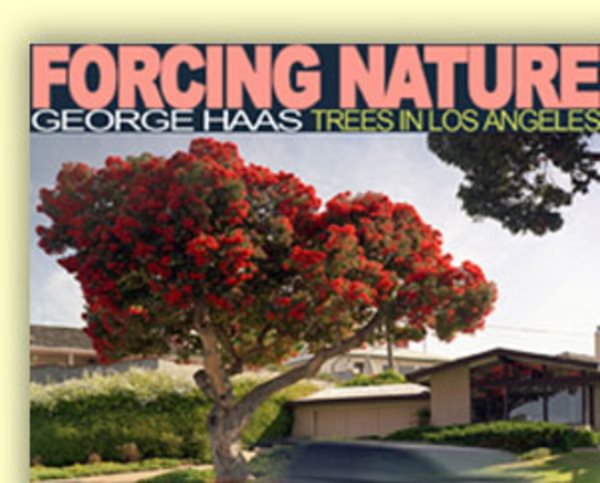 Forcing Nature: Tree in Los Angeles cover