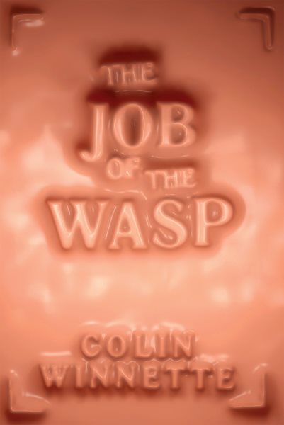 The Job of the Wasp: A Novel cover