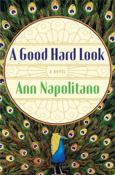 A Good Hard Look: A Novel cover