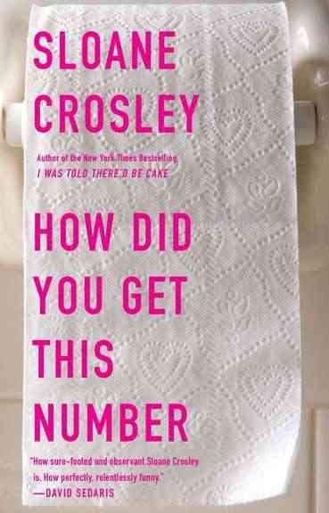 How Did You Get This Number cover