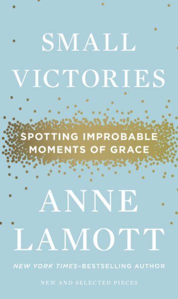 Small Victories: Spotting Improbable Moments of Grace cover