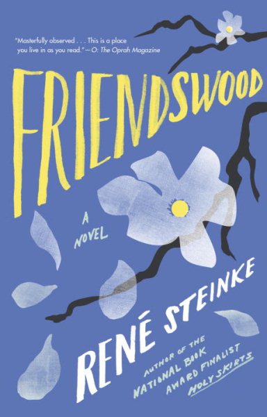 Friendswood: A Novel cover
