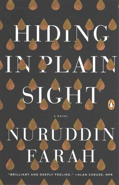 Hiding in Plain Sight: A Novel cover