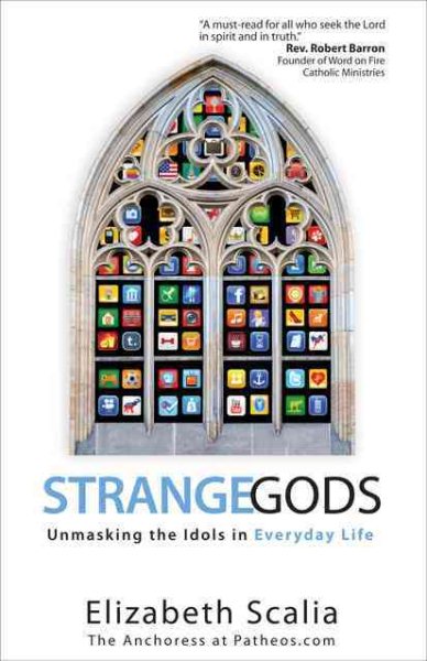 Strange Gods: Unmasking the Idols in Everyday Life cover