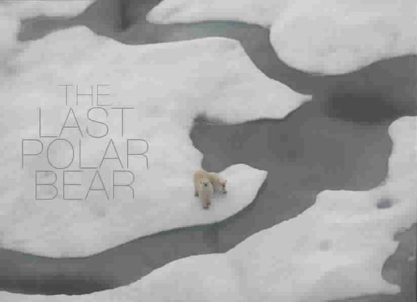 The Last Polar Bear cover