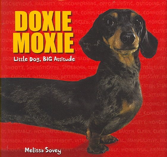 Doxie Moxie: Little Dog, Big Attitude cover