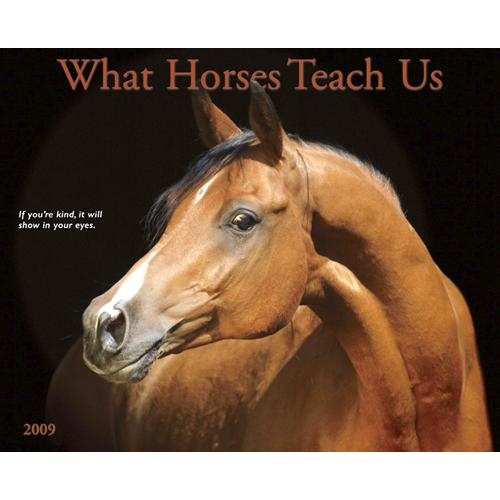 What Horses Teach Us 2009 Calendar cover