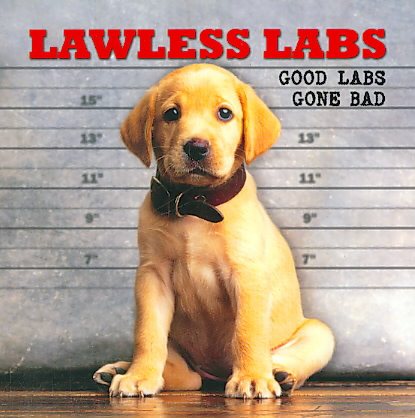 Lawless Labs: Good Labs Gone Bad cover
