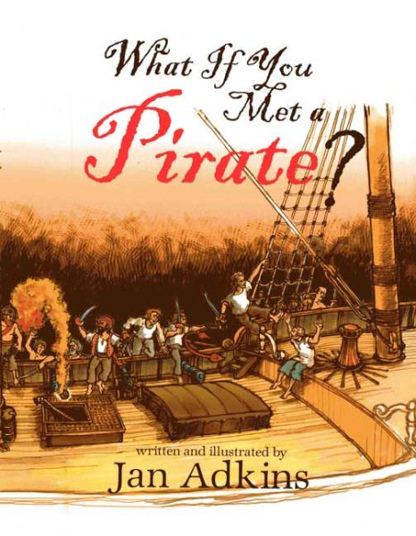 What If You Met A Pirate? cover