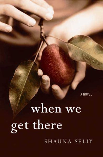 When We Get There: A Novel cover
