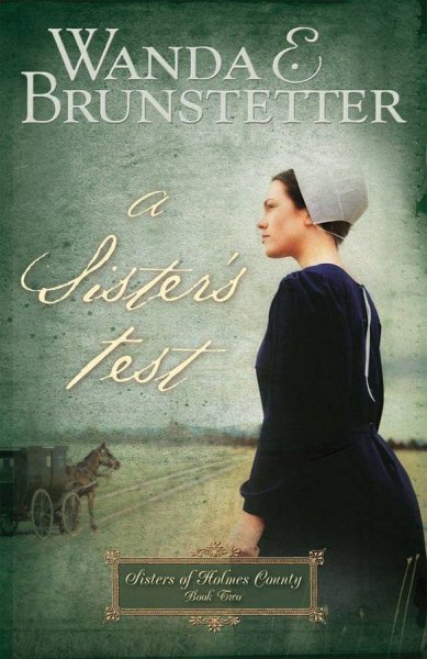 A Sister's Test (Sisters of Holmes County, Book 2) cover