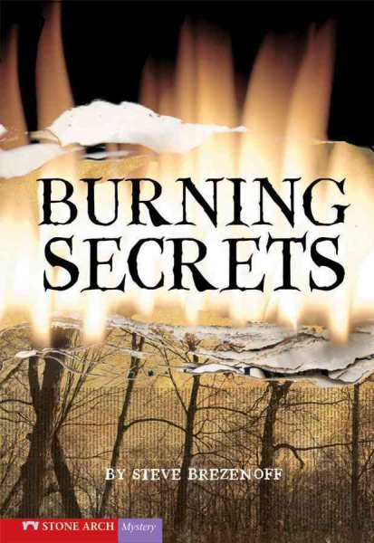 Burning Secrets (Vortex Books) cover