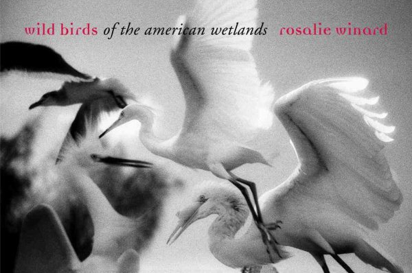 Wild Birds of the American Wetlands cover