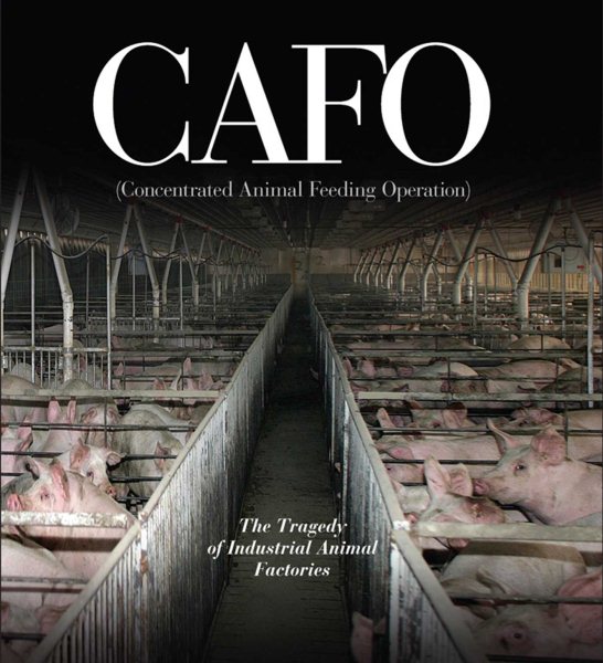 CAFO: The Tragedy of Industrial Animal Factories cover
