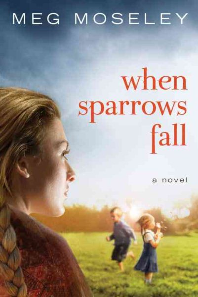 When Sparrows Fall: A Novel cover