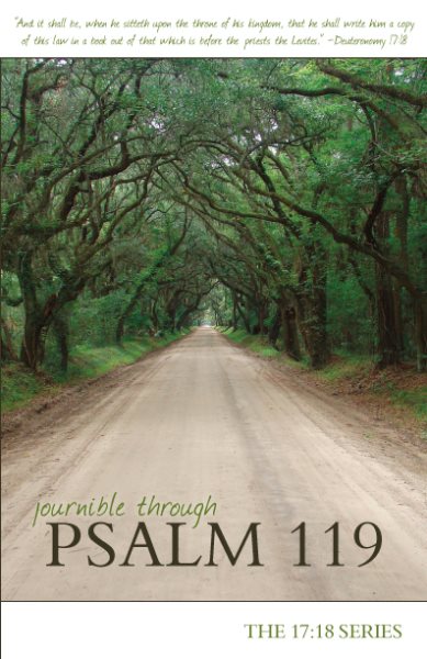 Journible Through Psalm 119 (The 17:18 Series - Journibles) cover