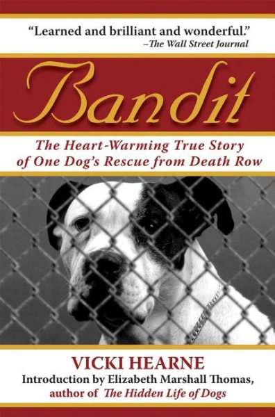 Bandit: The Heart-Warming True Story of One Dog's Rescue from Death Row cover