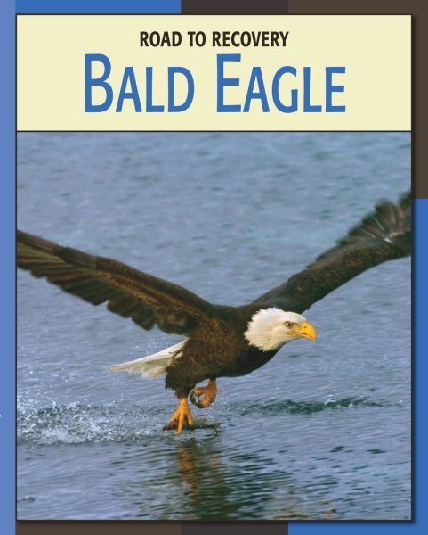 Bald Eagle (Road to Recovery (Library)) cover