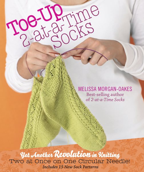 Toe-Up 2-at-a-Time Socks cover