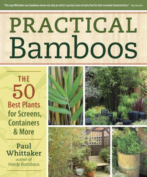 Practical Bamboos: The 50 Best Plants for Screens, Containers and More cover