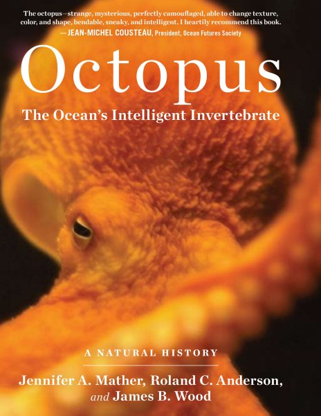 Octopus: The Ocean's Intelligent Invertebrate cover