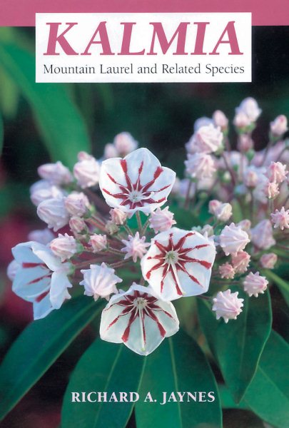 Kalmia: Mountain Laurel and Related Species cover