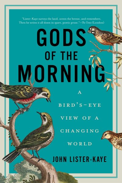 Gods of the Morning cover