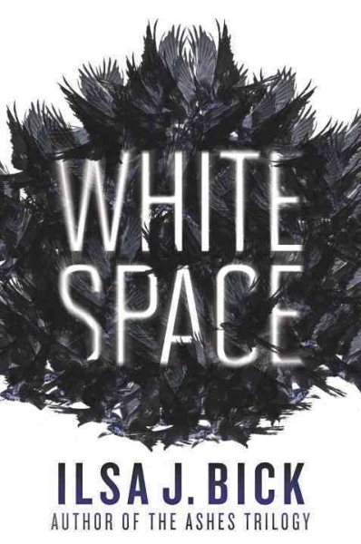 White Space: Book One of The Dark Passages cover