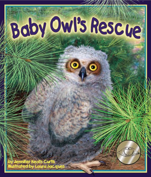 Baby Owl's Rescue cover