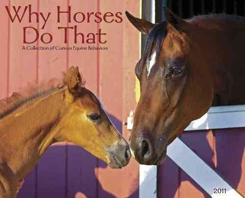 Why Horses Do That 2011 Wall Calendar cover