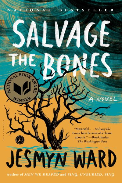 Salvage the Bones: A Novel cover