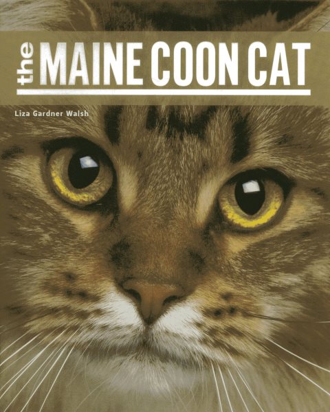 The Maine Coon Cat cover