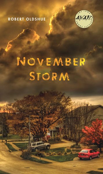November Storm (Iowa Short Fiction Award) cover