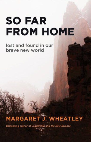 So Far from Home: Lost and Found in Our Brave New World (BK Life) cover