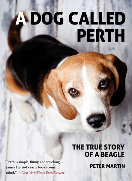 A Dog Called Perth: The True Story of a Beagle cover