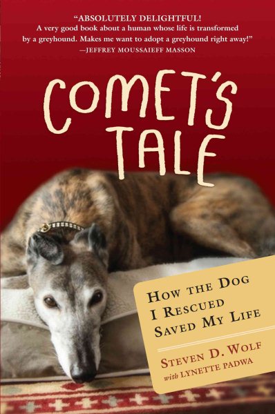 Comet's Tale: How the Dog I Rescued Saved My Life cover