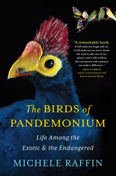 The Birds of Pandemonium cover