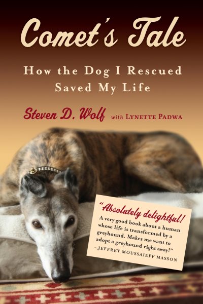 Comet's Tale: How the Dog I Rescued Saved My Life cover