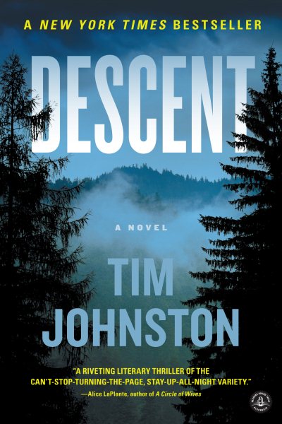 Descent: A Novel cover
