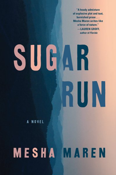Sugar Run: A Novel cover
