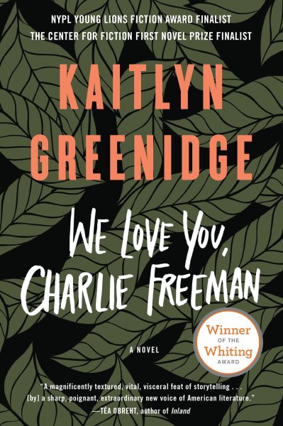 We Love You, Charlie Freeman: A Novel cover