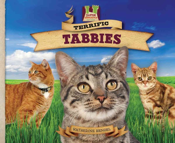 Terrific Tabbies (Cat Craze) cover
