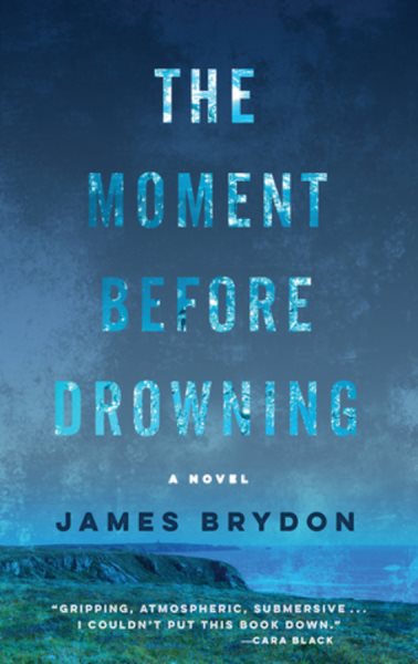 The Moment Before Drowning cover