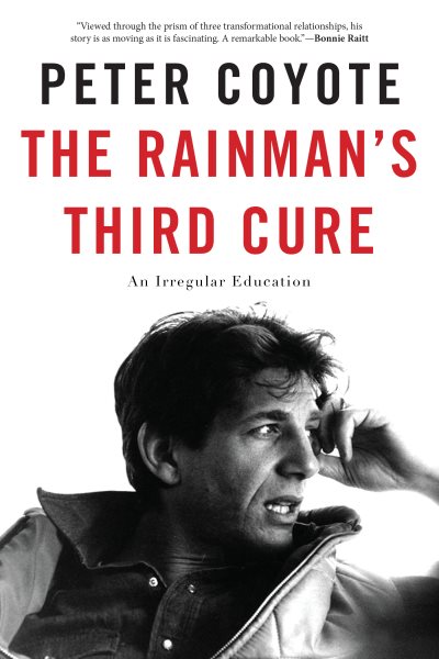The Rainman's Third Cure: An Irregular Education cover